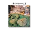 小學語文新部編版二年級上冊第四單元8 黃山奇石教學課件（2025秋）