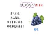 小學(xué)語文新部編版二年級上冊第四單元10 葡萄溝教學(xué)課件（2025秋）