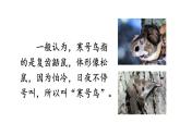 小學(xué)語(yǔ)文新部編版二年級(jí)上冊(cè)第五單元12 寒號(hào)鳥(niǎo)教學(xué)課件（2025秋）