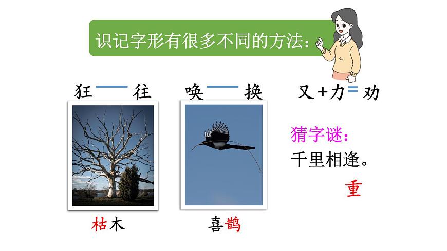 小学语文新部编版二年级上册第五单元12 寒号鸟教学课件（2025秋）第6页