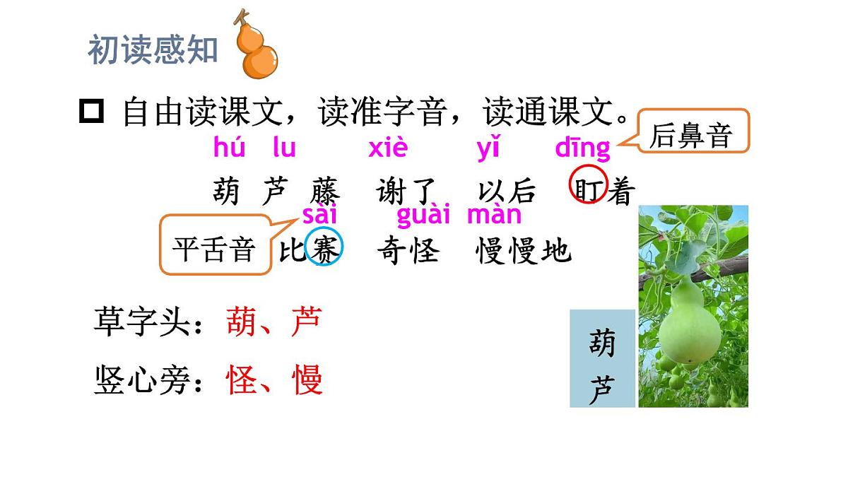小学语文新部编版二年级上册第五单元13 我要的是葫芦教学课件（2025秋）第5页