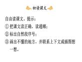 小學(xué)語(yǔ)文新部編版二年級(jí)上冊(cè)第六單元15 朱德的扁擔(dān)教學(xué)課件（2025秋）