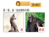 小學(xué)語(yǔ)文新部編版二年級(jí)上冊(cè)第八單元語(yǔ)文園地八教學(xué)課件（2025秋）