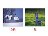 小學(xué)語(yǔ)文新部編版二年級(jí)上冊(cè)第八單元語(yǔ)文園地八教學(xué)課件（2025秋）