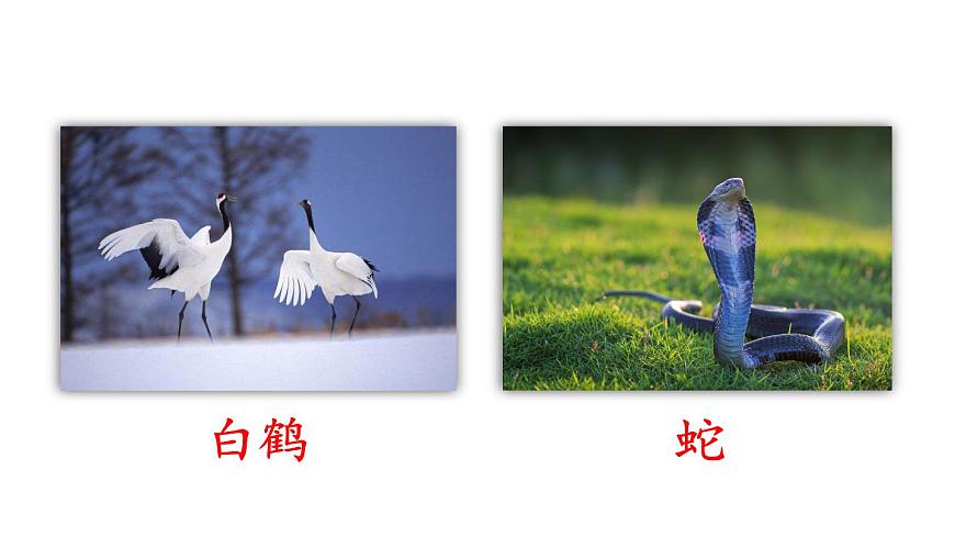 小学语文新部编版二年级上册第八单元语文园地八教学课件（2025秋）第3页