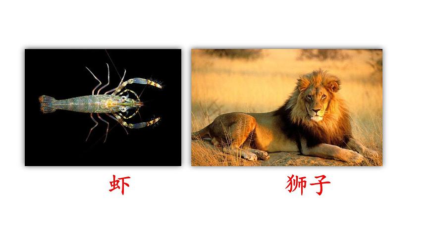 小学语文新部编版二年级上册第八单元语文园地八教学课件（2025秋）第6页