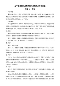 专项10 写作-2024-2025学年五年级语文下册期中复习高频考点专项训练 统编版-A4