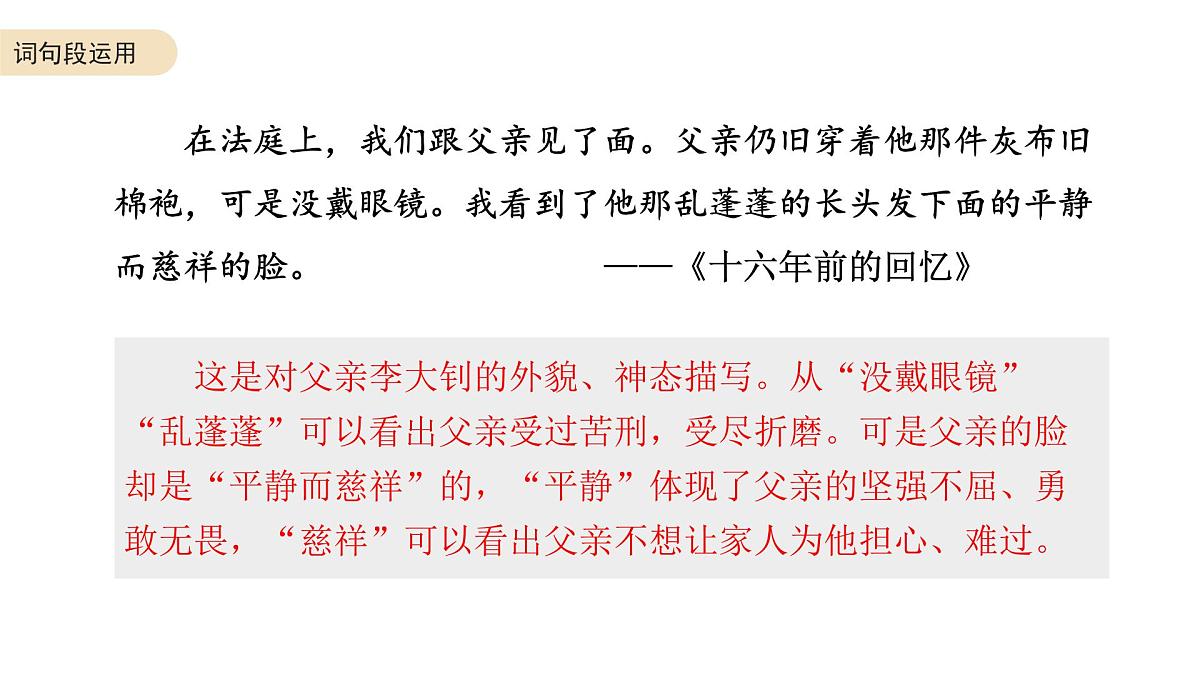 六年级语文下册 期末复习：词句段运用（2）课件-2024-2025学年统编版语文六年级下册第4页