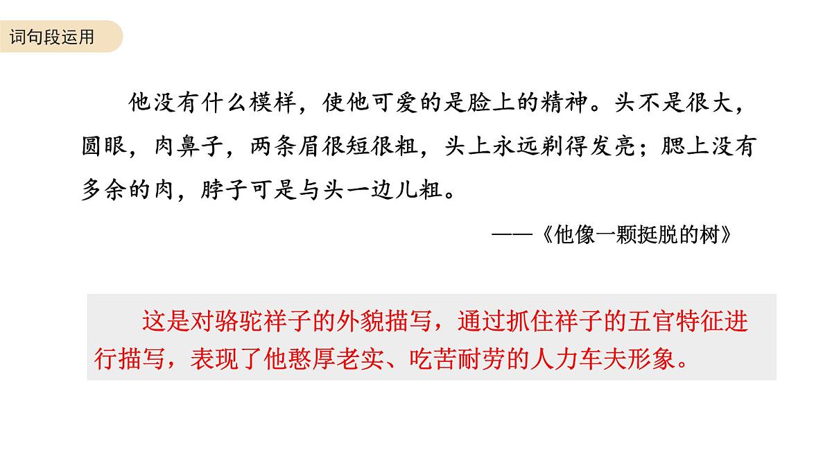 六年级语文下册 期末复习：词句段运用（2）课件-2024-2025学年统编版语文六年级下册第6页