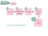 第二單元4.古詩(shī)三首(課件)2025-2026學(xué)年統(tǒng)編版三年級(jí)語(yǔ)文上冊(cè)