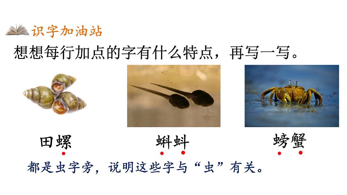 小学语文新部编版三年级上册第七单元语文园地七教学课件（2025秋）第7页