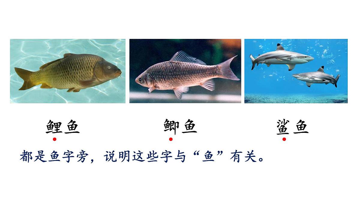 小学语文新部编版三年级上册第七单元语文园地七教学课件（2025秋）第8页