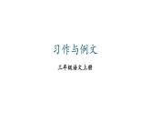 小學(xué)語(yǔ)文新部編版三年級(jí)上冊(cè)第五單元習(xí)作與例文教學(xué)課件（2025秋）