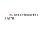 小學(xué)語(yǔ)文新部編版三年級(jí)上冊(cè)第五單元梳理與交流、初試身手教學(xué)課件（2025秋）
