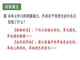 小學(xué)語(yǔ)文新部編版三年級(jí)上冊(cè)第五單元梳理與交流、初試身手教學(xué)課件（2025秋）