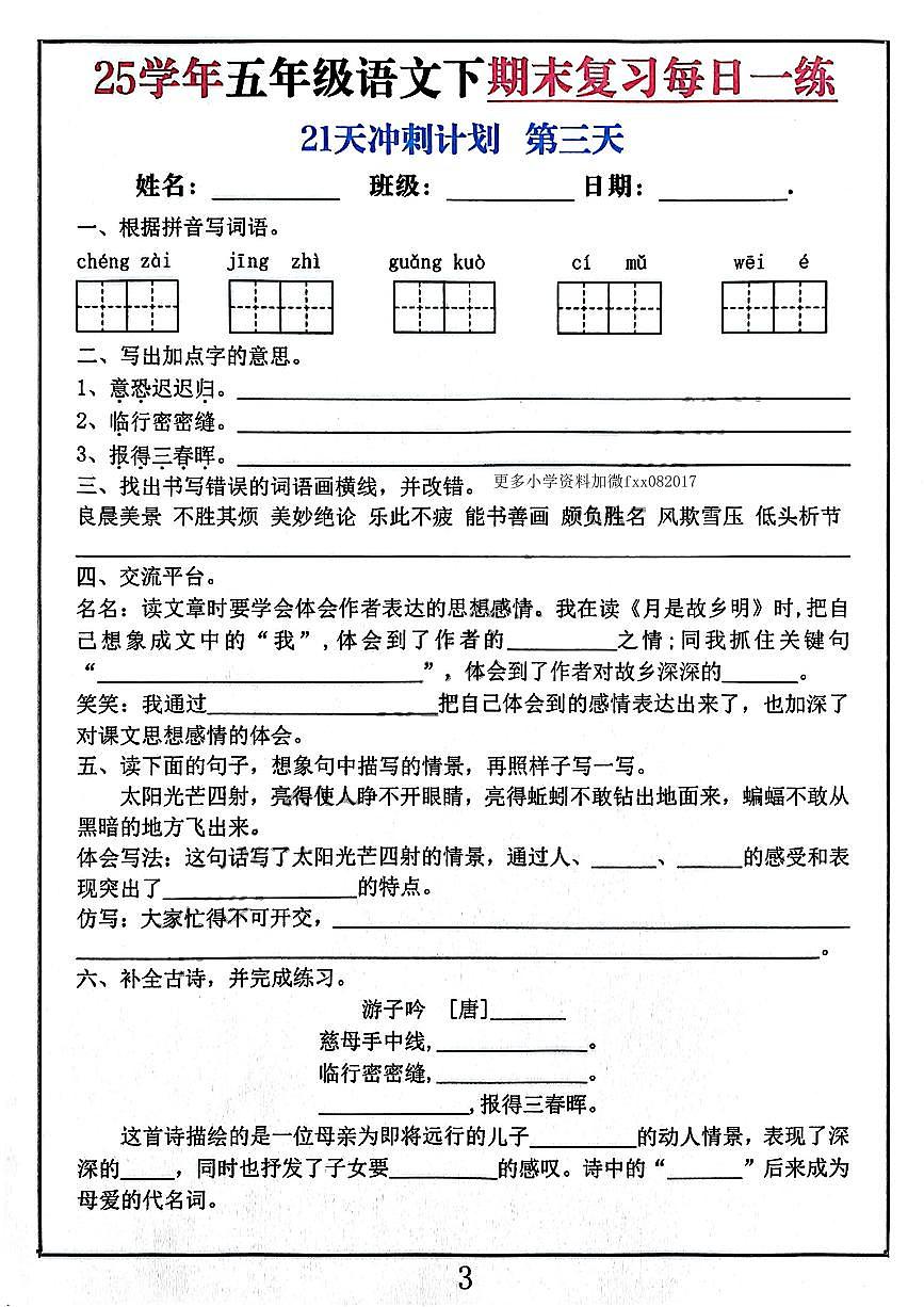 部编版五年级下册语文期末复习练习含答案第3页