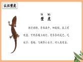 【新教材核心素養(yǎng)】部編版語文一下課文20《小壁虎借尾巴》（教學課件+教學設(shè)計+分層作業(yè)+學習任務(wù)單）