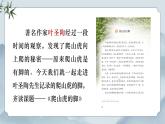 部編版小學(xué)語文四年級上冊《10 爬山虎的腳》課件+教案+練習(xí)（含答案）