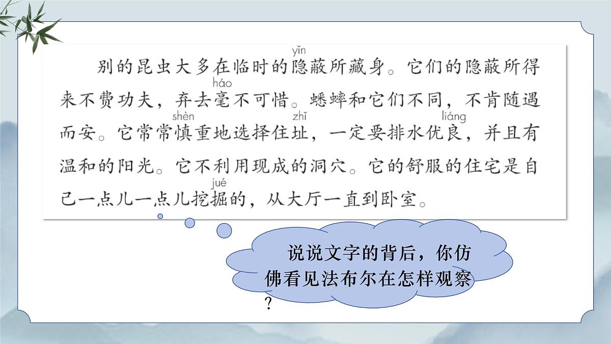 《11 蟋蟀的住宅》课件（第二课时）第6页