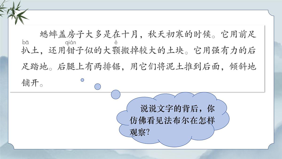 《11 蟋蟀的住宅》课件（第二课时）第7页
