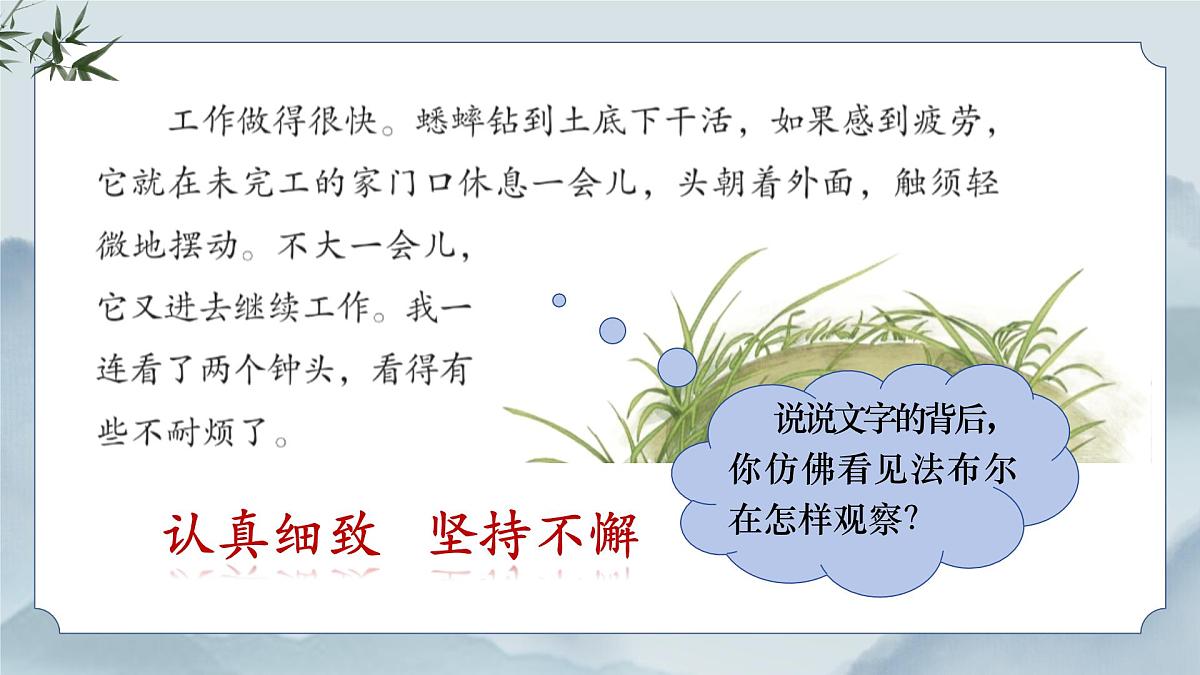 《11 蟋蟀的住宅》课件（第二课时）第8页