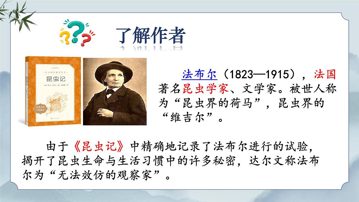 《11 蟋蟀的住宅》课件（第一课时）第5页
