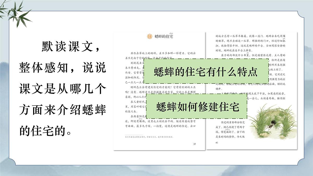 《11 蟋蟀的住宅》课件（第一课时）第8页