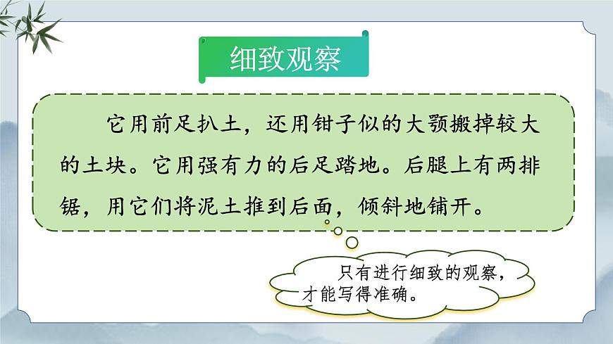 《语文园地三》课件第5页
