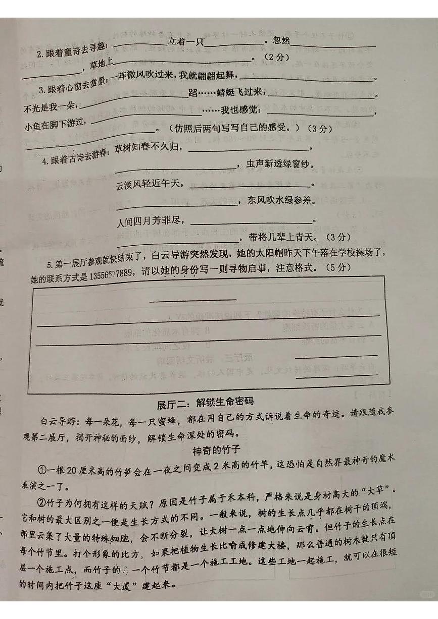 江苏省泰州市兴化市2024-2025学年第二学期三年级语文期末试卷（无答案）第3页