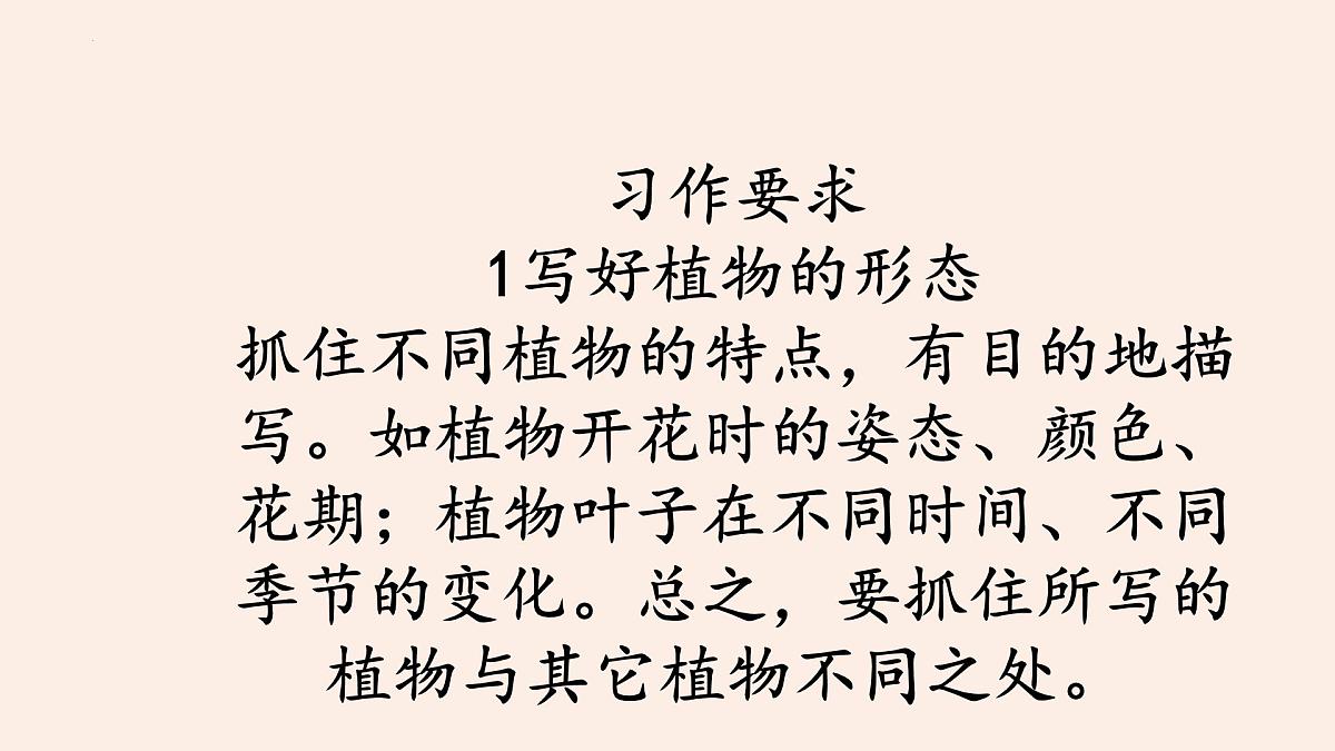 《习作：我的植物朋友》课件-2024-2025学年统编版语文三年级下册第3页
