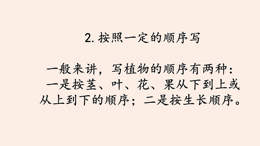 《习作：我的植物朋友》课件-2024-2025学年统编版语文三年级下册第4页