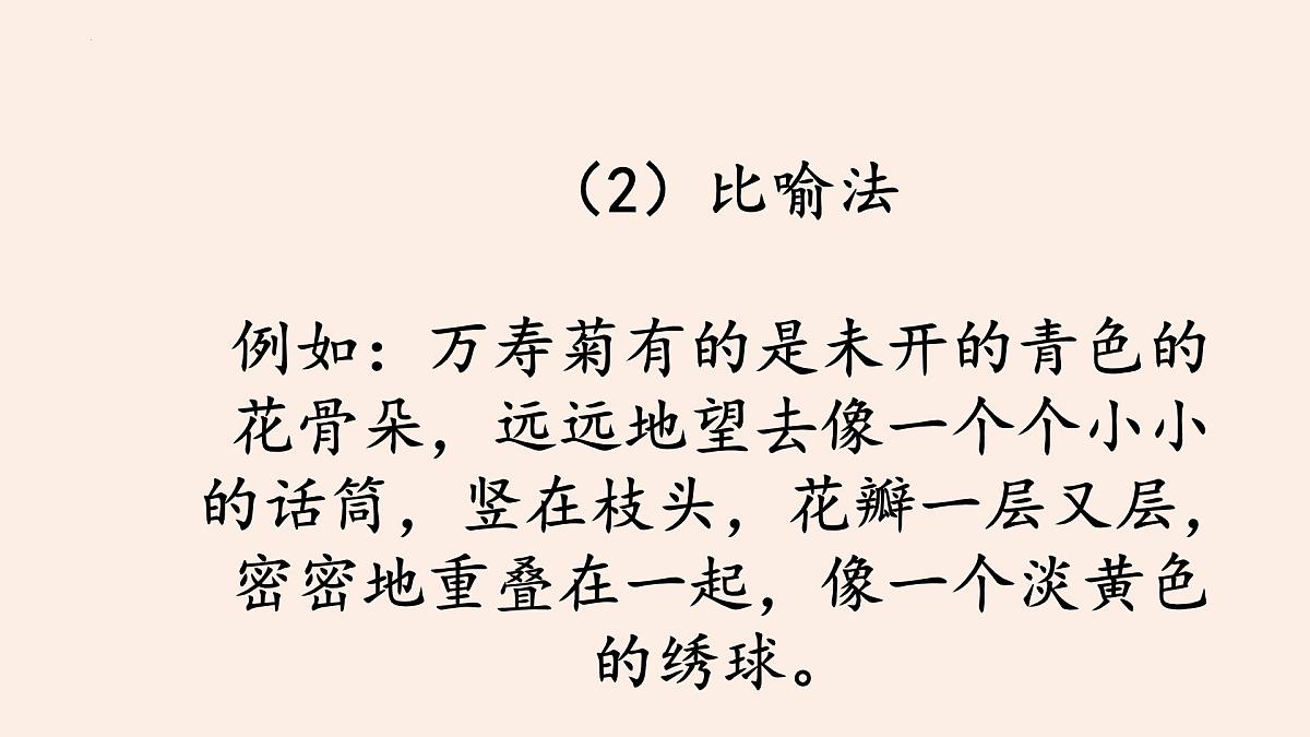 《习作：我的植物朋友》课件-2024-2025学年统编版语文三年级下册第6页