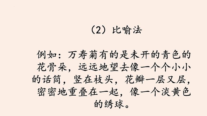 《习作：我的植物朋友》课件-2024-2025学年统编版语文三年级下册第6页
