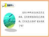 【新教材新課標(biāo)】部編版語文二年級上冊閱讀1《小蝌蚪找媽媽》教學(xué)課件+同步教學(xué)設(shè)計