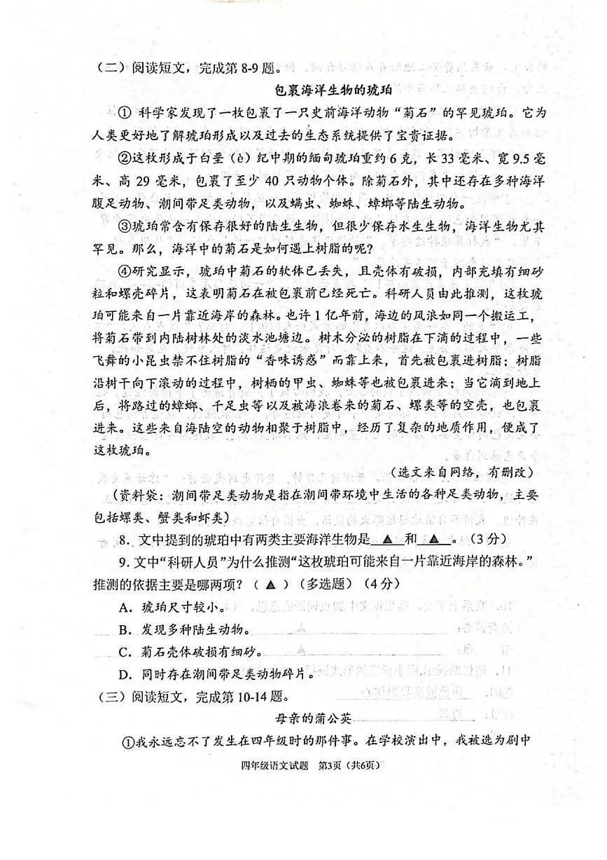 重庆市渝中区2024-2025第二学期四年级语文期末试卷（无答案）第3页