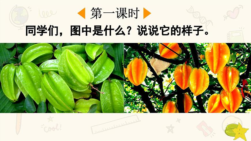 2025年春二年级语文下册第13课《画杨桃》课件（统编版）第2页