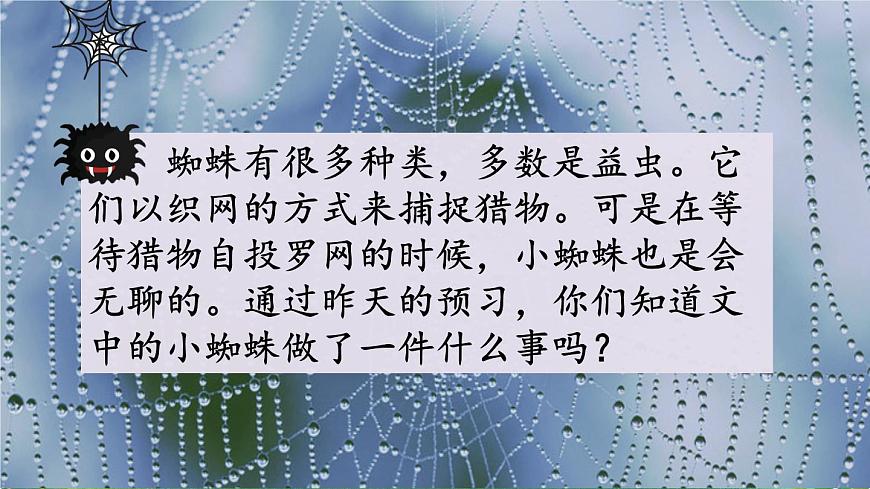 2025年春二年级语文下册第20课《蜘蛛开店》课件（统编版）第3页