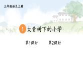 2025-2026學(xué)年度統(tǒng)編版語文三年級(jí)上冊(cè)1 大青樹下的小學(xué)【課件】