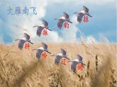 2025-2026學(xué)年度統(tǒng)編版語文三年級上冊7 聽聽，秋的聲音【課件】