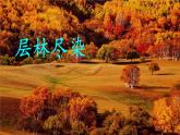 2025-2026學(xué)年度統(tǒng)編版語(yǔ)文三年級(jí)上冊(cè)4 古詩(shī)三首【課件】