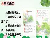 統(tǒng)編版語文一年級下冊第六單元12 荷葉圓圓課件