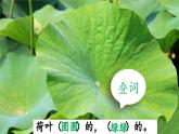 統(tǒng)編版語文一年級下冊第六單元12 荷葉圓圓課件