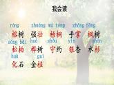 2 樹之歌(課件)2025-2026學年統(tǒng)編版二年級語文上冊