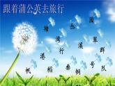2025-2026學(xué)年度統(tǒng)編版語文二年級上冊1 場景歌【課件】