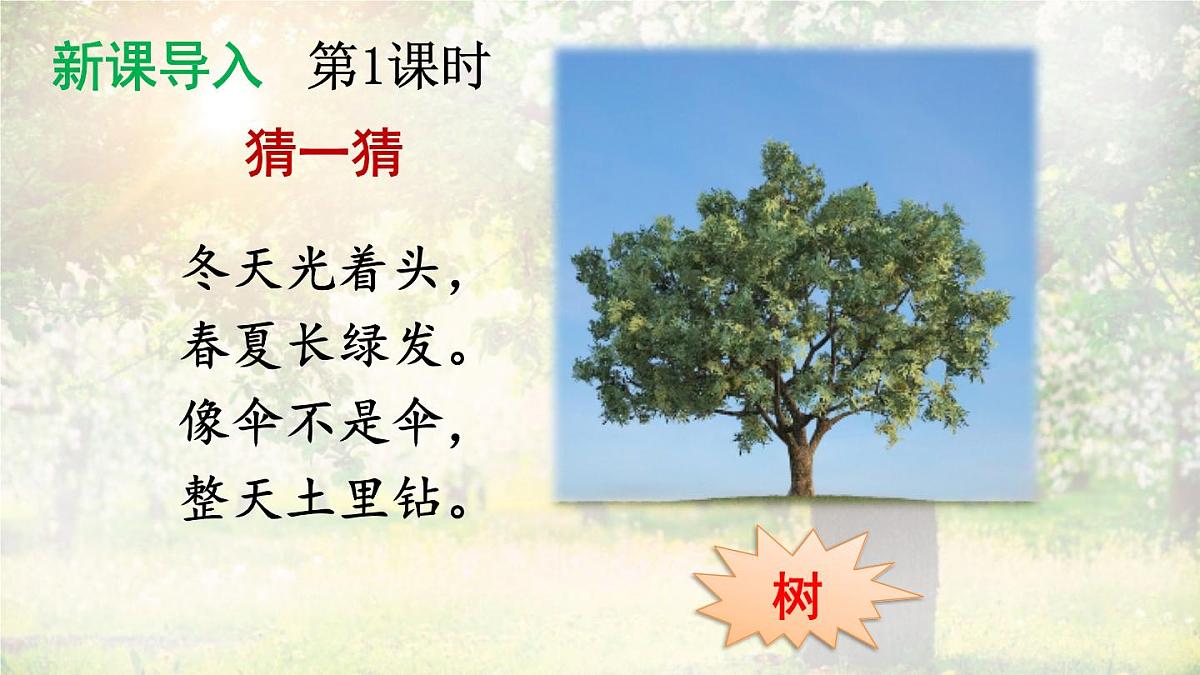2 树之歌【课件】2025-2026学年度统编版语文二年级上册第2页