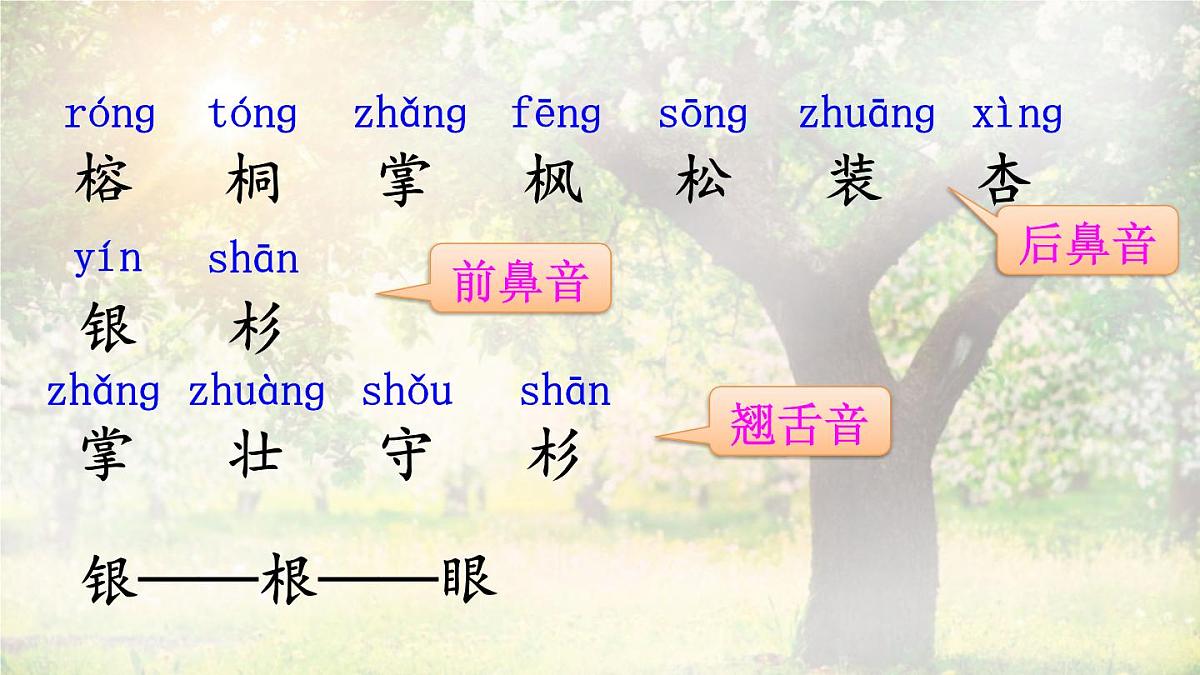 2 树之歌【课件】2025-2026学年度统编版语文二年级上册第6页