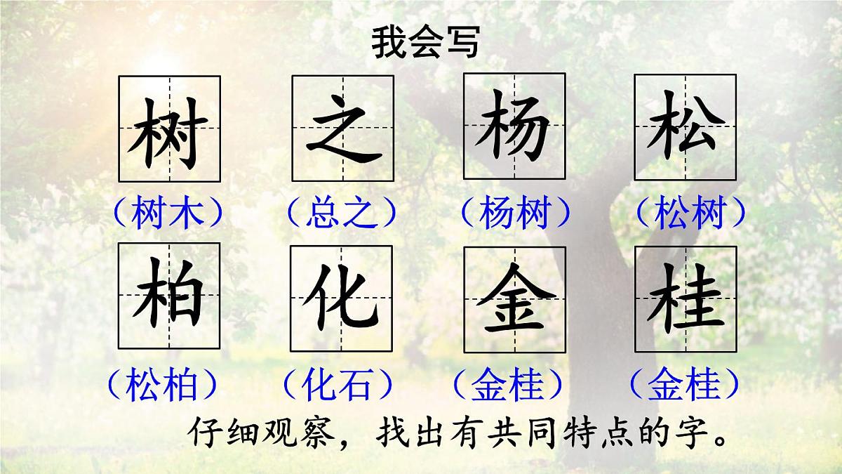 2 树之歌【课件】2025-2026学年度统编版语文二年级上册第7页