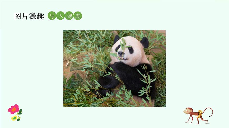 有趣的动物第3页