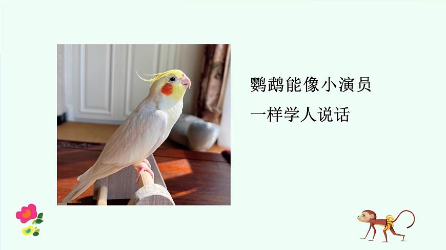 有趣的动物第6页