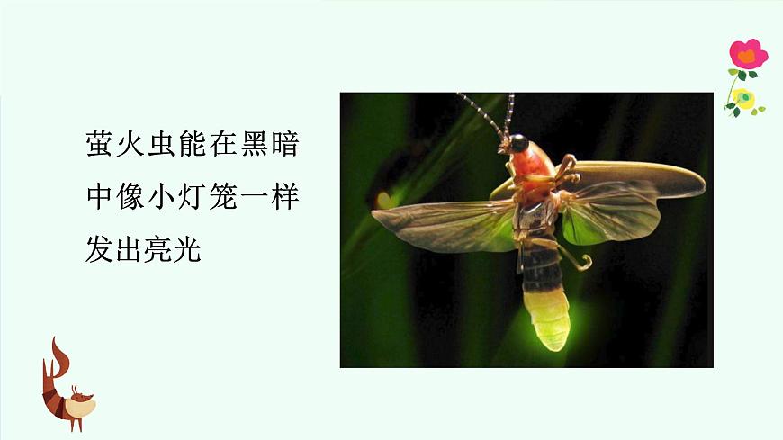 有趣的动物第7页